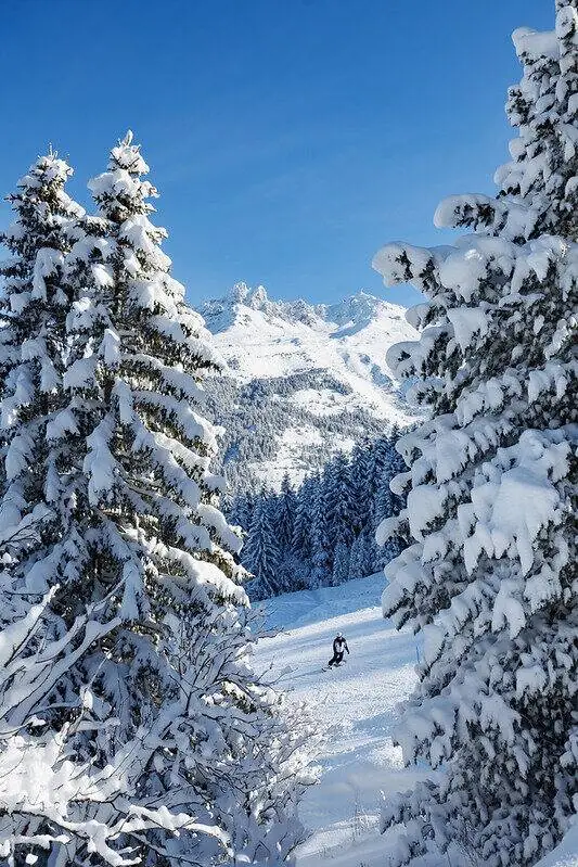 Un skieur sur une piste bordée de sapins chargés de neige à Méribel
